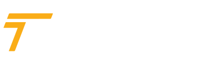 Techwise-Consulting-logo